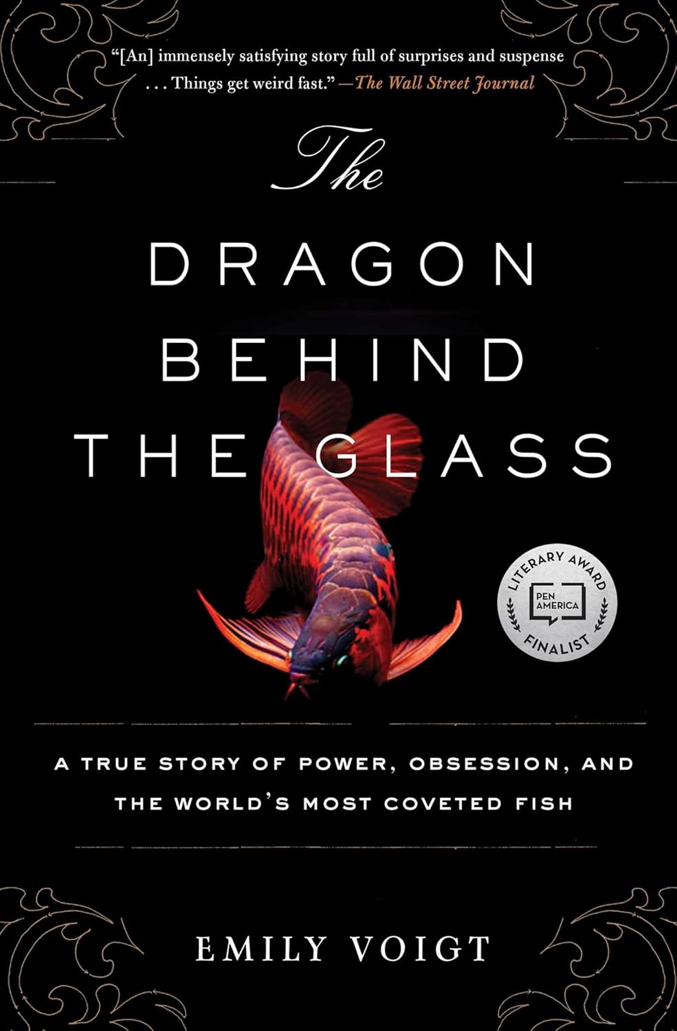 Book cover of The Dragon Behind the Glass