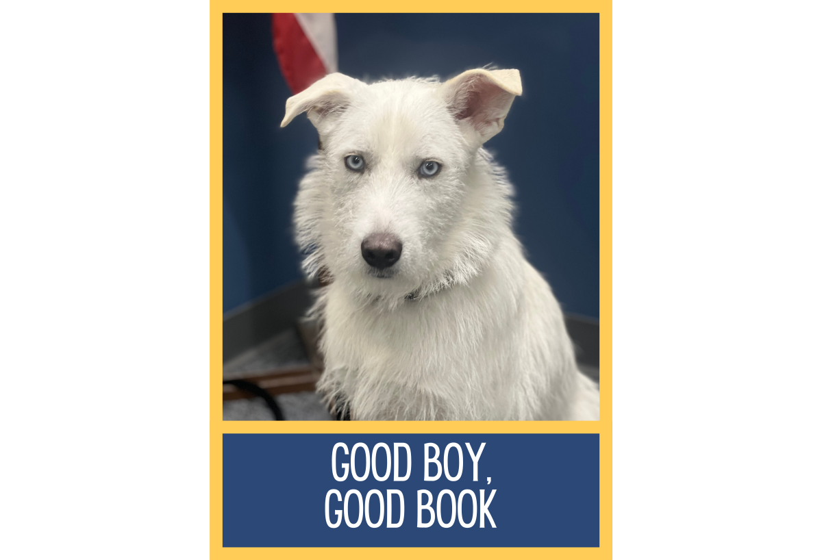 A picture of the therapy dog, Hank, with the words "Good Boy, Good Book" underneath.